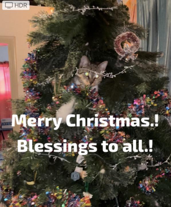 Merry Christmas Wonderful Coaches.!