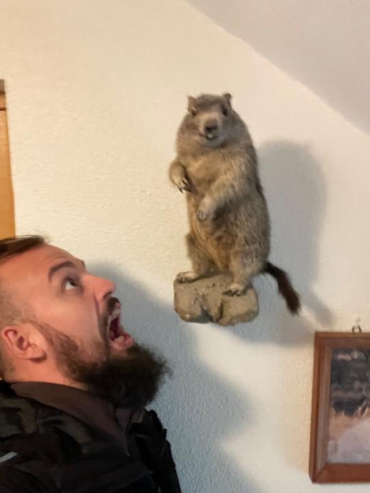 Kállai Márk