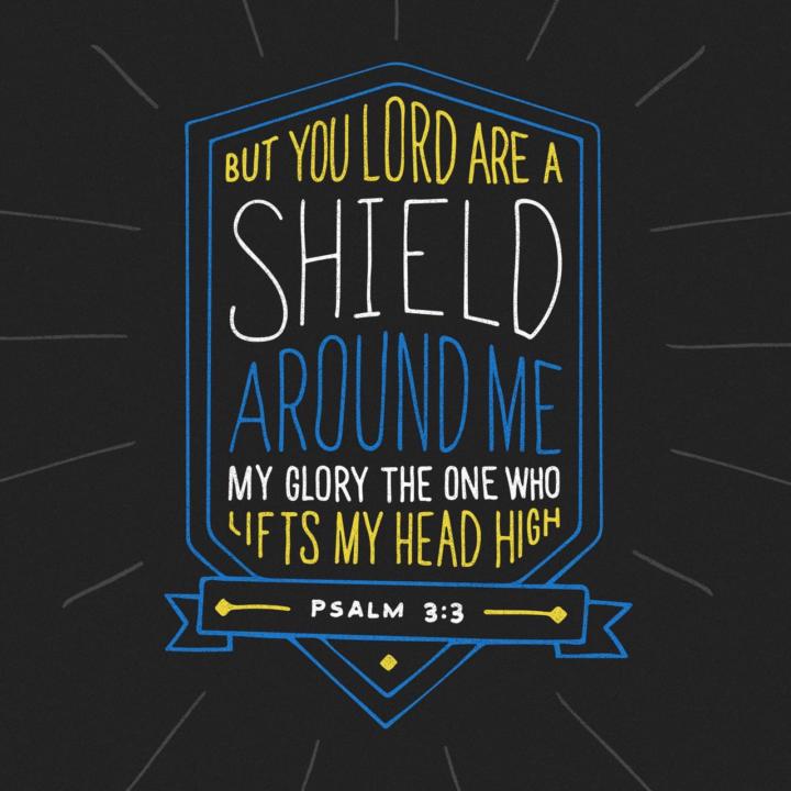 The Shield That Protects 