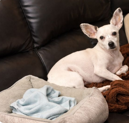 It been awhile since posting.  