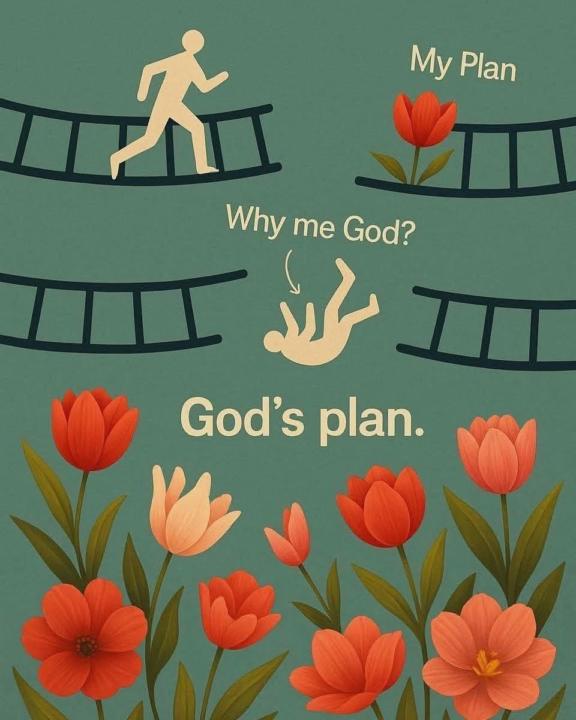 You want a flower and God is creating a garden for you.