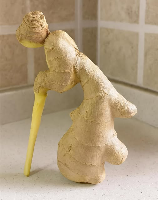 Ginger creativity 