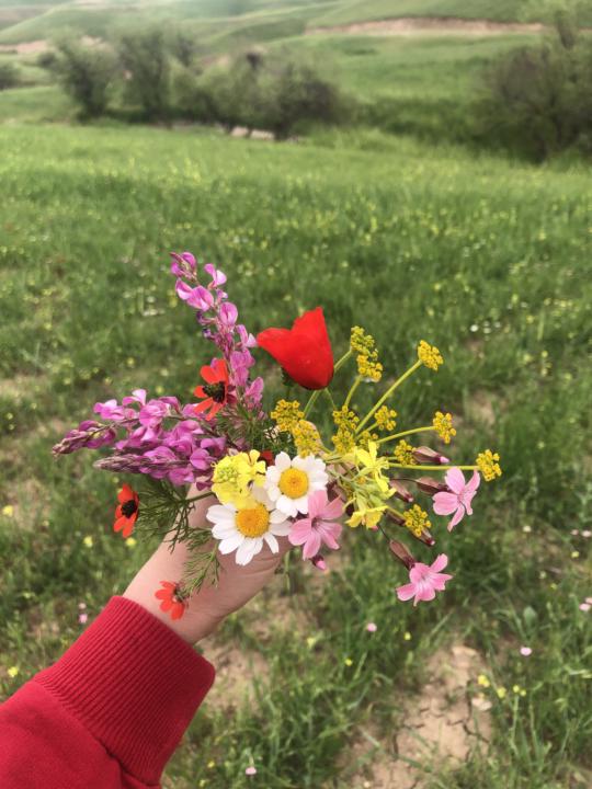 Spring flowers🌸💐