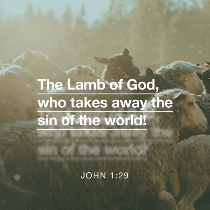 The Lamb of God 