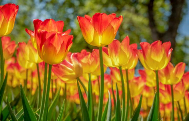 Spring 🌼 is here