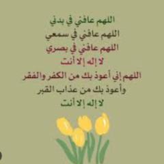 Shomaila Javaid