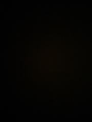 Nicolas Sierra Cursach