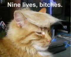Toms Lēpe