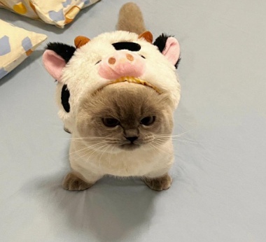 Kevin Gundahl Madsen