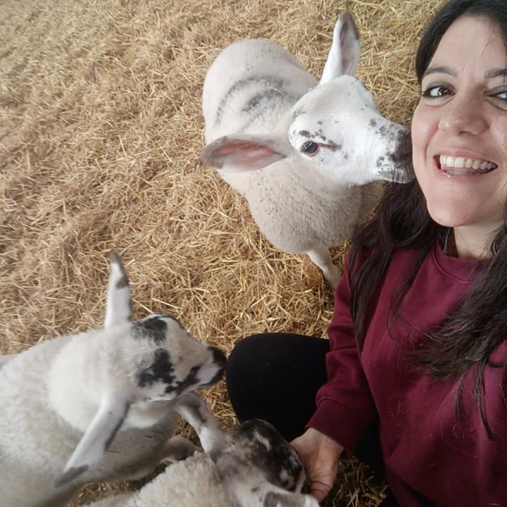 Laura Piunti
