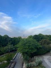 Poizel Simon