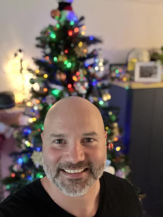 🎄 When Do You Put Your Tree Up?