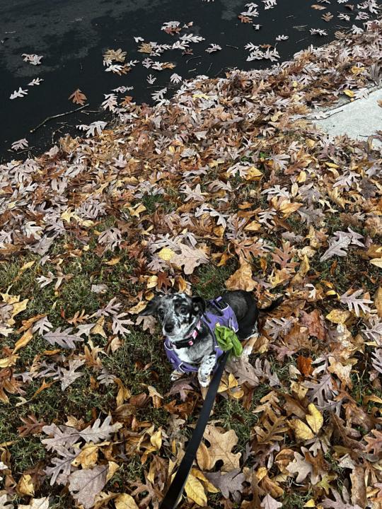 Quick story that made me laugh this morning. 