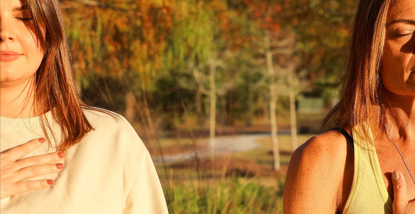 Nervous System Regulation Tools