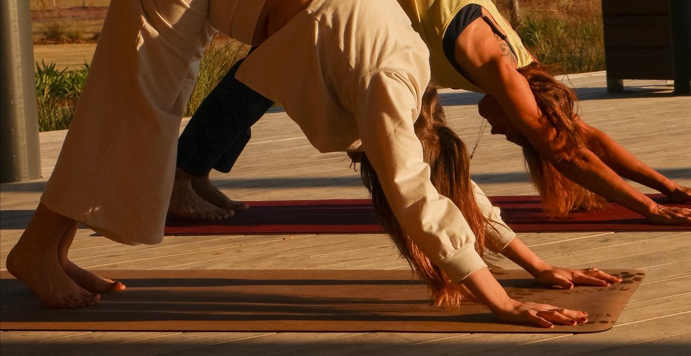 Weekly Somatic Flow (5 Minute Practices)