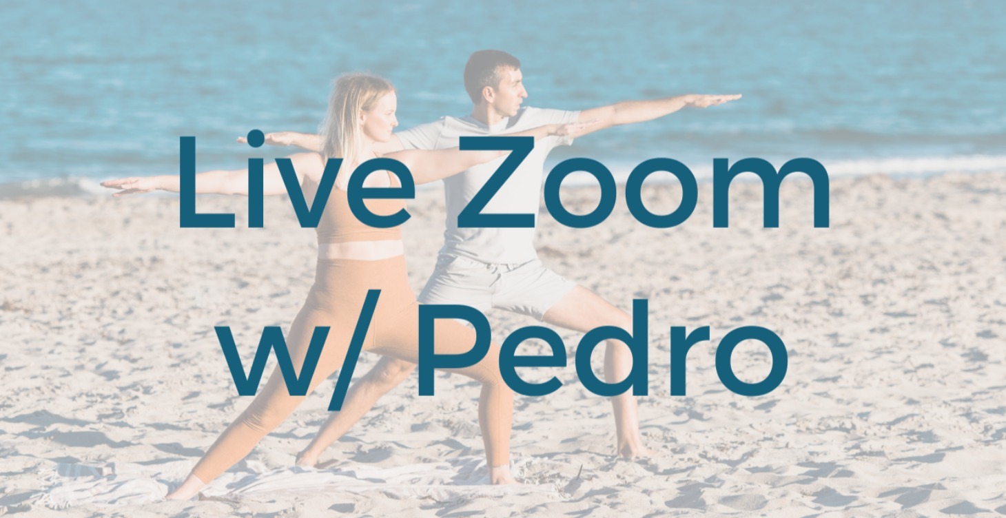 Live Zoom with Pedro