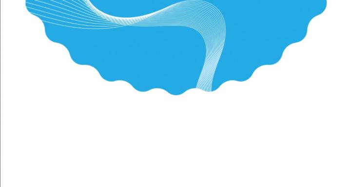 Skynique School of Flight