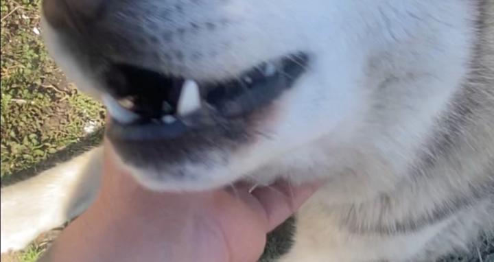 Let’s learn Romanian 🇷🇴