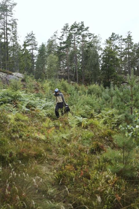 Finn Gerwin
