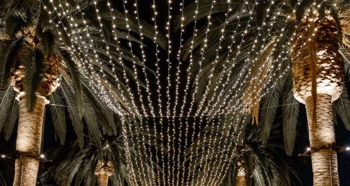 The Christmas Light Guy Co