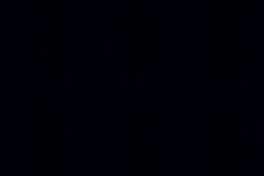 Luis Hector Maita Llerena