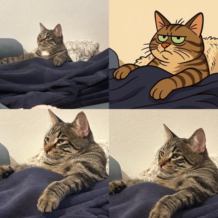 Platon’s Guide to Coding 🐾💻