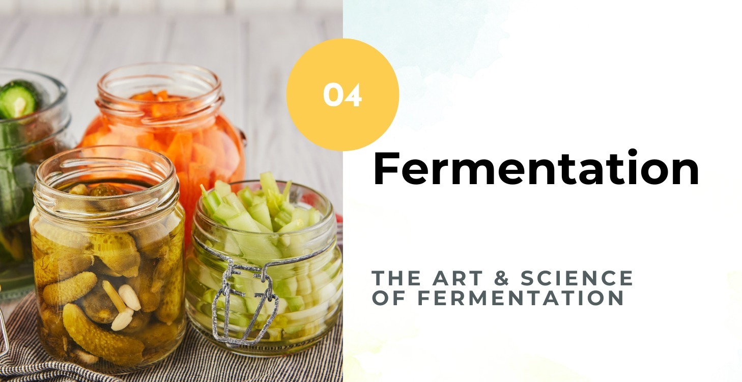 Fermentation