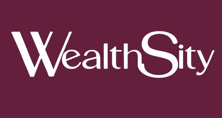 WealthSity Academy