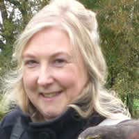 Shona Tudor