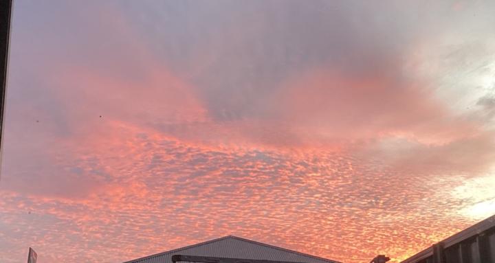 The Pixie Garden Lady