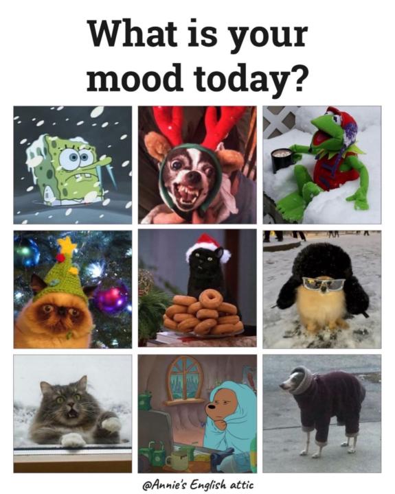 What's your Monday mood😅