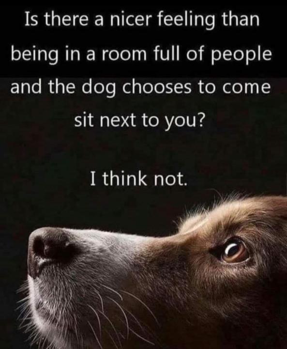 Attitude of Gratitude 