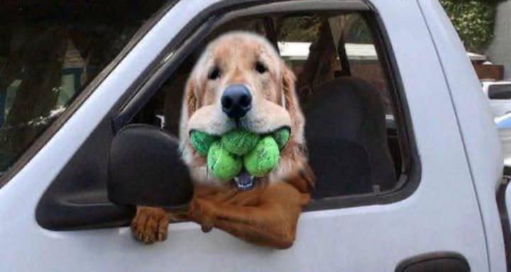 Wholesale mastermind