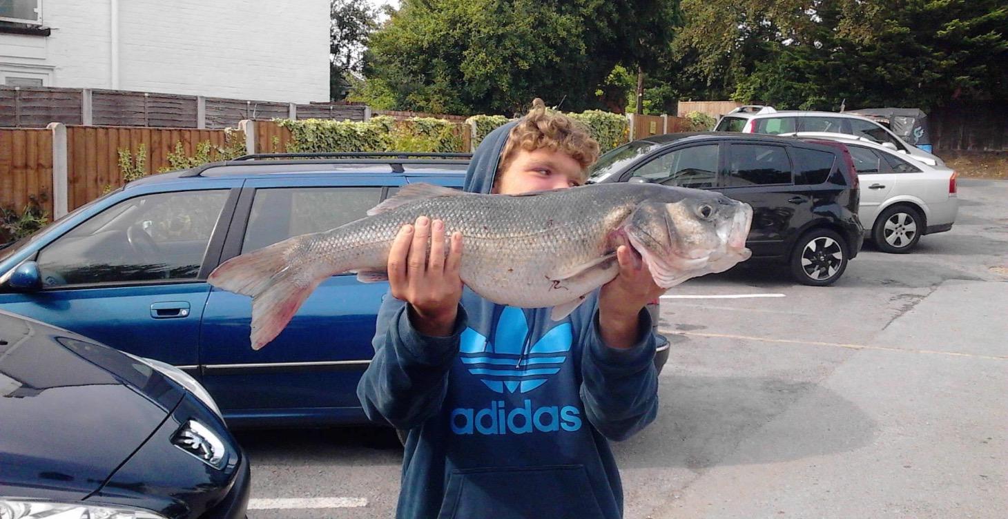 Module 1: Getting Started – The Fishing Mindset