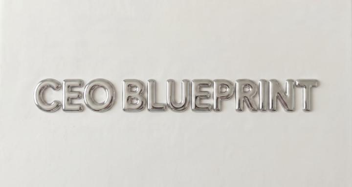 CEO BLUEPRINT