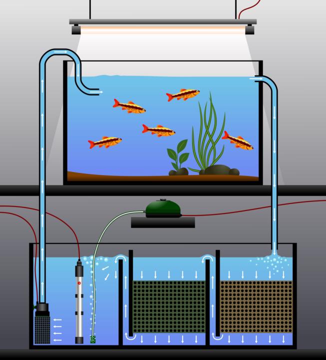 Sump or No Sump???? That is the question.