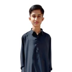 Burhan Ali