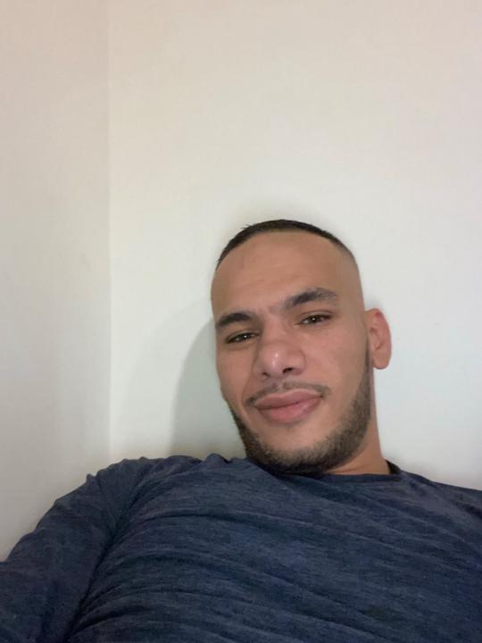 Amr Shedid