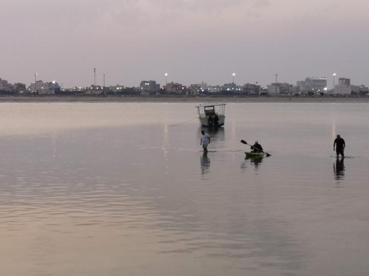 Bedoor AlShamali