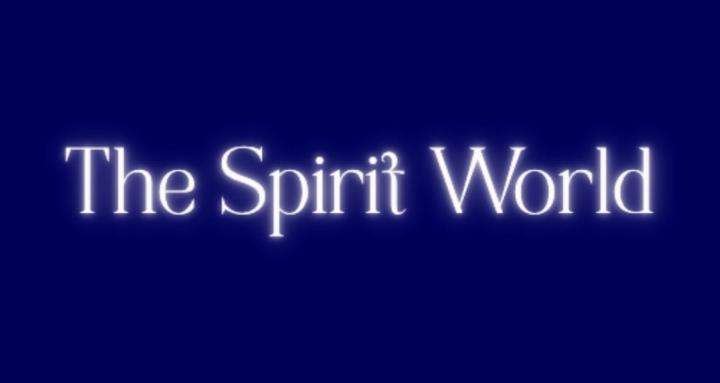 THE SPIRIT WORLD