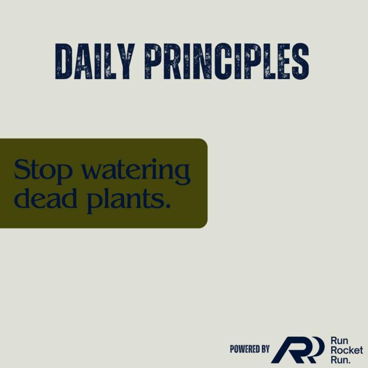 Daily Principle