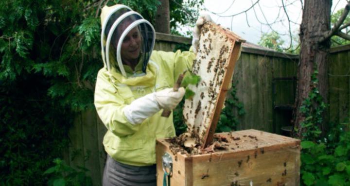 Spiritual Beekeeping