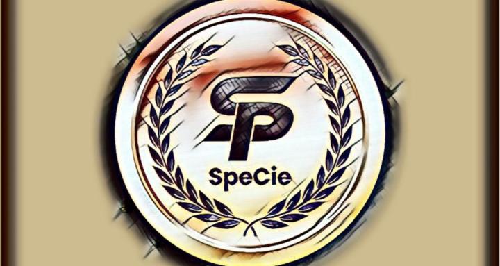 SPEC Talk