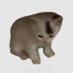 Chenxuan Guo