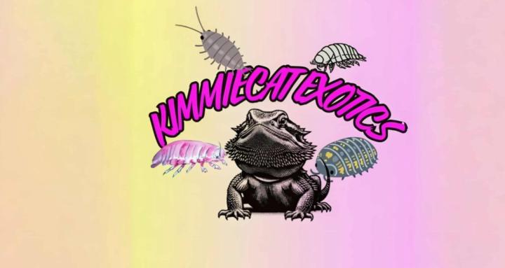 KimmieCat Exotics