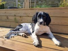 Nicolai Schmeltz Nielsen