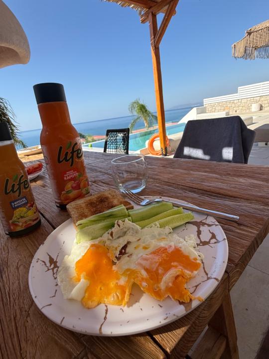 Brandon Schendzielorz