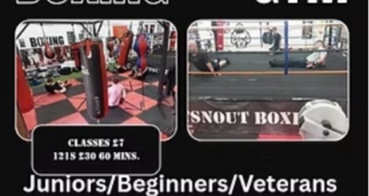 Flatsnout Boxing fitness.