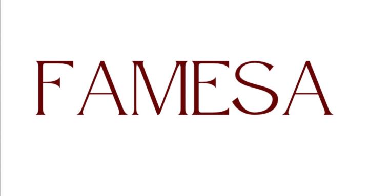 The FAMESA Collective