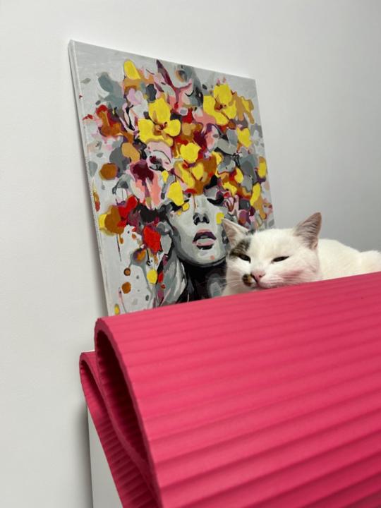 Șandru Diana Sandru